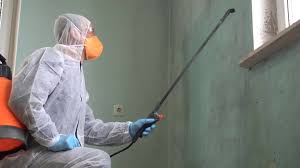 Why You Should Choose Our Mold Remediation Services in Altoona, WI